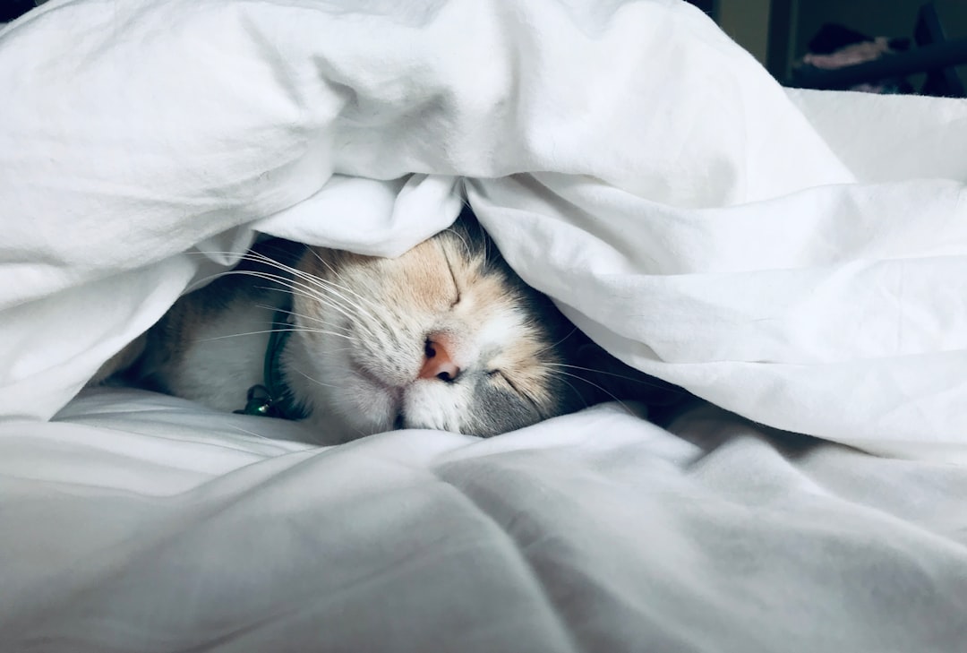 Why You Feel Tired After 8 Hours of Sleep